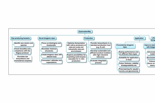 Flow chart showing the project´s work packages.