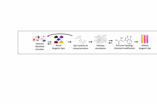 Flow chart of work package number 3.
